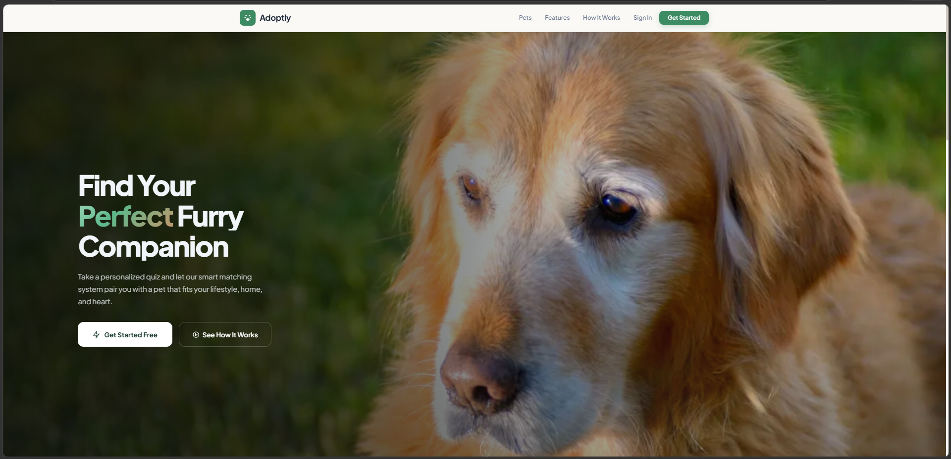 Pet Recommendation System